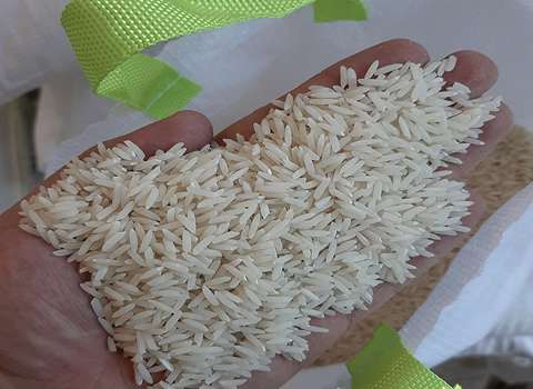 خرید برنج صدری استخوانی + قیمت فروش استثنایی